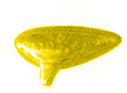 OCARINA PLASTIC TRANSPARENT YELLOW